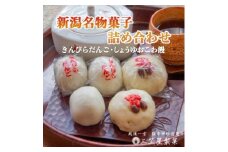 ＜弥彦名物＞きんぴらだんごとしょうゆおこわ饅の詰合せ(12個入り)_きんぴら団子 和菓子 お菓子 セット 詰め合わせ 新潟県 弥彦村【1065808】
