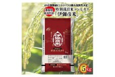 令和6年産特別栽培米コシヒカリ「伊彌彦米」5kg【1125999】