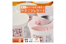 ＜希少＞絞りたて牛乳で製造した『やひこジェラート』酒粕 いちご 巨峰 枝豆 新潟県 弥彦村_酒粕 いちご 巨峰 枝豆 新鮮素材を活かした風味豊かな味わい アイスクリーム ジェラート 新潟県 弥彦村【1000697】
