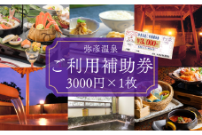 弥彦温泉ご利用補助券　3,000円分_温泉利用券 温泉券 旅行チケット 観光 宿泊 飲食 入浴 利用券 宿泊チケット 風呂 ホテル 旅館 観光地 国内旅行 宿泊券 新潟県 弥彦村 【1223075】