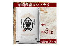 2023年2月発送開始『定期便』＜令和4年産＞特別栽培米コシヒカリ「伊彌彦米」5kg全3回【5080116】