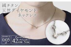 純チタン天然ダイヤモンド0.05ctネックレス 変色しにくい ギフト かわいい 新潟県 弥彦村_＜定番のダイアモンド一粒ネックレス＞ジュエリー ダイアモンド アクセサリー ファッション 変色しにくい プレゼント ギフト 贈り物 贈答品 お祝い 記念日 誕生日 ホワイトデー かわいい おしゃれ 新潟県 弥彦村【1288848】