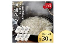 ＜毎月定期便＞特別栽培米コシヒカリ「伊彌彦米」新潟県 弥彦村産 白米 5kg全6回_新潟県産 白米 精米 お米 こしひかり こめ コメ 5キロ 弥彦村産【4002772】