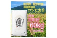 ＜毎月定期便＞特別栽培米コシヒカリ「伊彌彦米」10kg全6回【4002774】