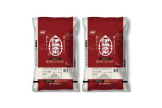 令和5年産特別栽培米コシヒカリ「伊彌彦米」精米　10kg(5kg×2)【1255976】