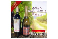 弥彦村産ぶどう　赤ワイン・マスカットベイリーA 　弥彦セット_日本の赤ワイン 国産赤ワイン スパークリングワイン 飲み比べセット 辛口 新潟県 弥彦村【1465480】