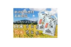 新県弥彦村石井農園　令和7年産コシヒカリ白米・玄米 食べ比べセット＜白米5kg、玄米5kg＞【1508848】
