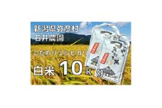新潟県弥彦村石井農園　令和7年産コシヒカリ＜白米 10kg＞【1508847】