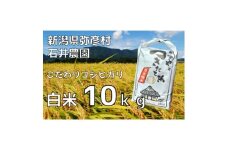 新潟県弥彦村石井農園　令和7年産コシヒカリ＜白米 10kg＞【1508847】