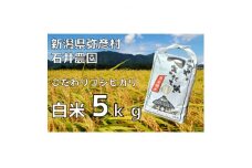 新潟県弥彦村石井農園　令和7年産コシヒカリ＜白米 5kg＞【1508845】