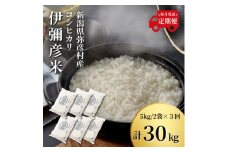 ＜発送月固定定期便＞2024年10月より順次発送　特別栽培米コシヒカリ「伊彌彦米」10kg全3回_新潟県産 白米 精米 お米 こしひかり こめ コメ 10キロ 弥彦村産【4053270】