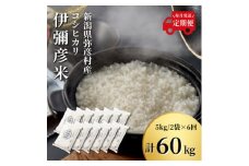 ＜発送月固定定期便＞2024年10月より順次発送 特別栽培米コシヒカリ「伊彌彦米」10kg全6回_新潟県産 白米 精米 お米 こしひかり こめ コメ 10キロ 弥彦村産【4053457】