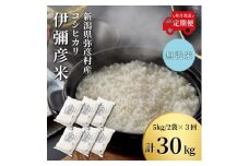＜発送月固定定期便＞無洗米伊彌彦米10kg全3回【4061086】