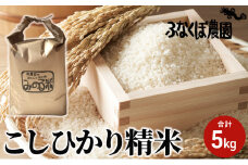 [№5882-0140]令和5年度米　こしひかり精米 5kg