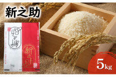 [№5882-0161]新之助　5kg