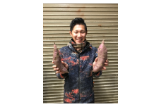 [№5882-0171]さつまいも「紅はるか」5kg