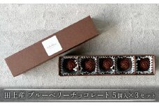 [№5882-0218]田上産 栽培期間中無農薬ブルーベリーで作るチョコレート 5個入×3セット
