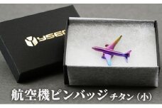 [№5882-0233]航空機ピンバッジ　チタン（小）