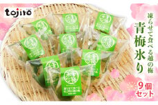 [№5882-0277]凍らせて食べる越の梅 「青梅氷り」 9個セット