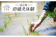 [№5882-0284]田植え体験