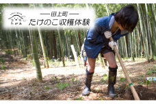 [№5882-0285]たけのこ収穫体験