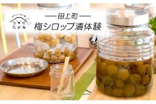 [№5882-0287]梅シロップ漬体験