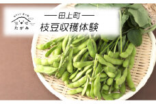 [№5882-0288]枝豆収穫体験