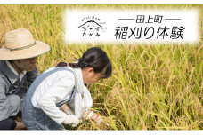 [№5882-0289]稲刈り体験