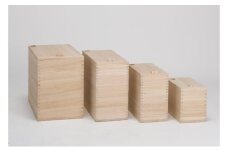 [№5882-0304]桐米びつ5kg 国産 日本製 収納 米櫃