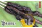 【炭火焼】浜焼きアナゴ