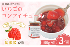 【越後姫 いちご】無添加 コンフィチュール ジャム （100g 3個）  新潟県 ブランドいちご イチゴ 果肉入り いちごジャム 苺 新潟県 出雲崎町