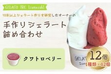 【手作りジェラート】アイスクリーム 詰め合わせ 1種類 選べる（12個入）「クワトロベリー」 新潟県 出雲崎町