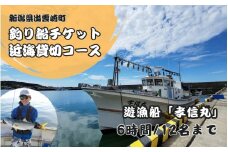 【海釣りチケット】釣り船 乗船券 日本海 貸し切りコース 大人12名まで 新潟県 出雲崎町 タイ ヒラメ イカ アジ 遊漁船「孝信丸」初心者 経験者 レジャー