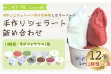 【手作りジェラート】アイスクリーム 詰め合わせ 12種類（12個入）ミルク いちご 抹茶 ほうじ茶 アフォガード ラムレーズン ヘーゼルナッツ よもぎあんこ チョコ クワトロベリー 季節のおすすめ 新潟県 出雲崎町