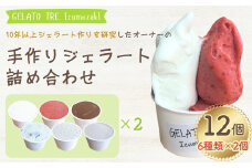 【手作りジェラート】アイスクリーム 詰め合わせ 6種類 2個（12個入）ミルク いちご チョコレート ラムレーズン ほうじ茶 ヘーゼルナッツ 新潟県 出雲崎町