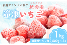 【越後姫 いちご】冷凍いちご 1kg（500g×2袋） 国産 減農薬栽培  苺 イチゴ ブランドいちご 冷凍フルーツ フルーツ 果物 新潟県産 出雲崎町