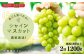 【先行予約】農家直送【糖度18度以上】シャインマスカット（2房1200g）