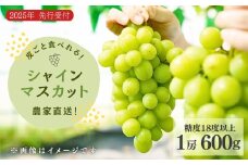 【先行予約】農家直送【糖度18度以上】シャインマスカット（1房600g）皮ごと食べられる 種無しぶどう 甘い ぶどう 果物 贈答品 ギフト 新潟県 出雲崎町