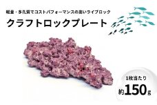 【ハンドメイド】クラフトロックプレート 1枚 150g 海水魚飼育 人工ライブロック 新潟県 出雲崎町