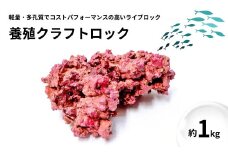 【ハンドメイド】養殖クラフトロック 1kg 海水魚飼育 人工ライブロック 新潟県 出雲崎町