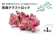 【ハンドメイド】乾燥クラフトロック 1kg 海水魚飼育 人工ライブロック 新潟県 出雲崎町