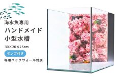 ハンドメイド小型水槽【海水魚専用】ポンプ付き（30×20×25cm） 新潟県 出雲崎町