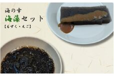 【海産物】海の幸海藻セット（もずく、えご）詰め合わせ えごねり 新潟県 出雲崎町