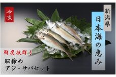 【鮮魚詰め合わせ】アジ・サバセット 脳締め アジ2-3尾 サバ1-2尾 冷凍 新鮮 海鮮 大きい 新潟県 出雲崎町