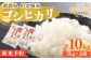【先行予約・令和7年10月以降発送予定】 令和7年産 特別栽培米 「コシヒカリ」 10㎏