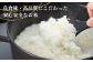 【先行予約 令和7年産 新潟県出雲崎産コシヒカリ】「新之助」５㎏をお届けします