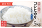 【農家直送】【新米】出雲崎町産コシヒカリ（５kg）直播栽培 お米 新潟県産コシヒカリ