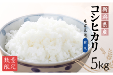 【農家直送】 令和7年産新米 出雲崎町産コシヒカリ（５kg）直播栽培 お米 新潟県産コシヒカリ こしひかり おこめ コメ 白米 精米