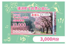 「ありがとう湯沢」応援感謝券【3,000円分】