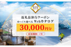旅行ツアークーポン(30,000円分)【ゆっくり選べるWebカタログ】事前予約 ふるさと納税 新潟県 湯沢町 スキー リゾート ホテル 旅館 旅行券 宿泊券 宿泊 チケット 観光 国内旅行 【レジャー】